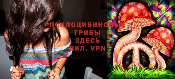 MDMA Premium VHQ Ладушкин