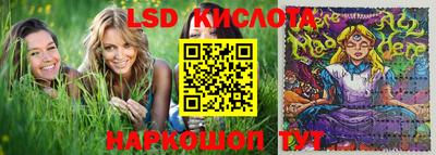 молекула духа Будённовск