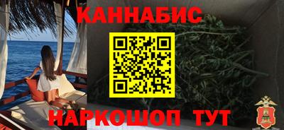 молекула духа Будённовск