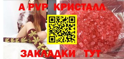 спиды Волгодонск