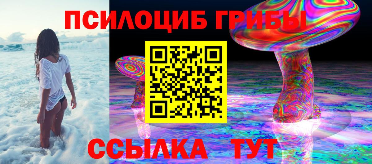 Псилоцибиновые грибы Psilocybine cubensis  Псилоцибиновые грибы Psilocybine cubensis  Вход с VPN  Люберцы 