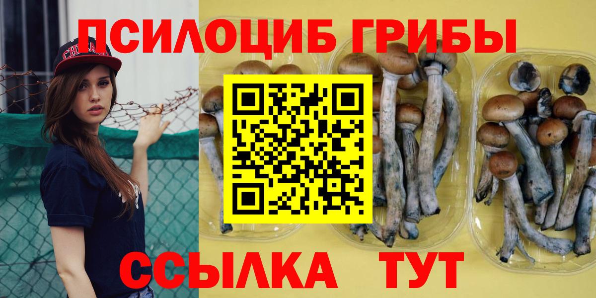 цены наркотик  Люберцы  Псилоцибиновые грибы прущие грибы 