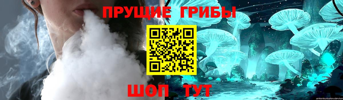 Галлюциногенные грибы GOLDEN TEACHER Люберцы